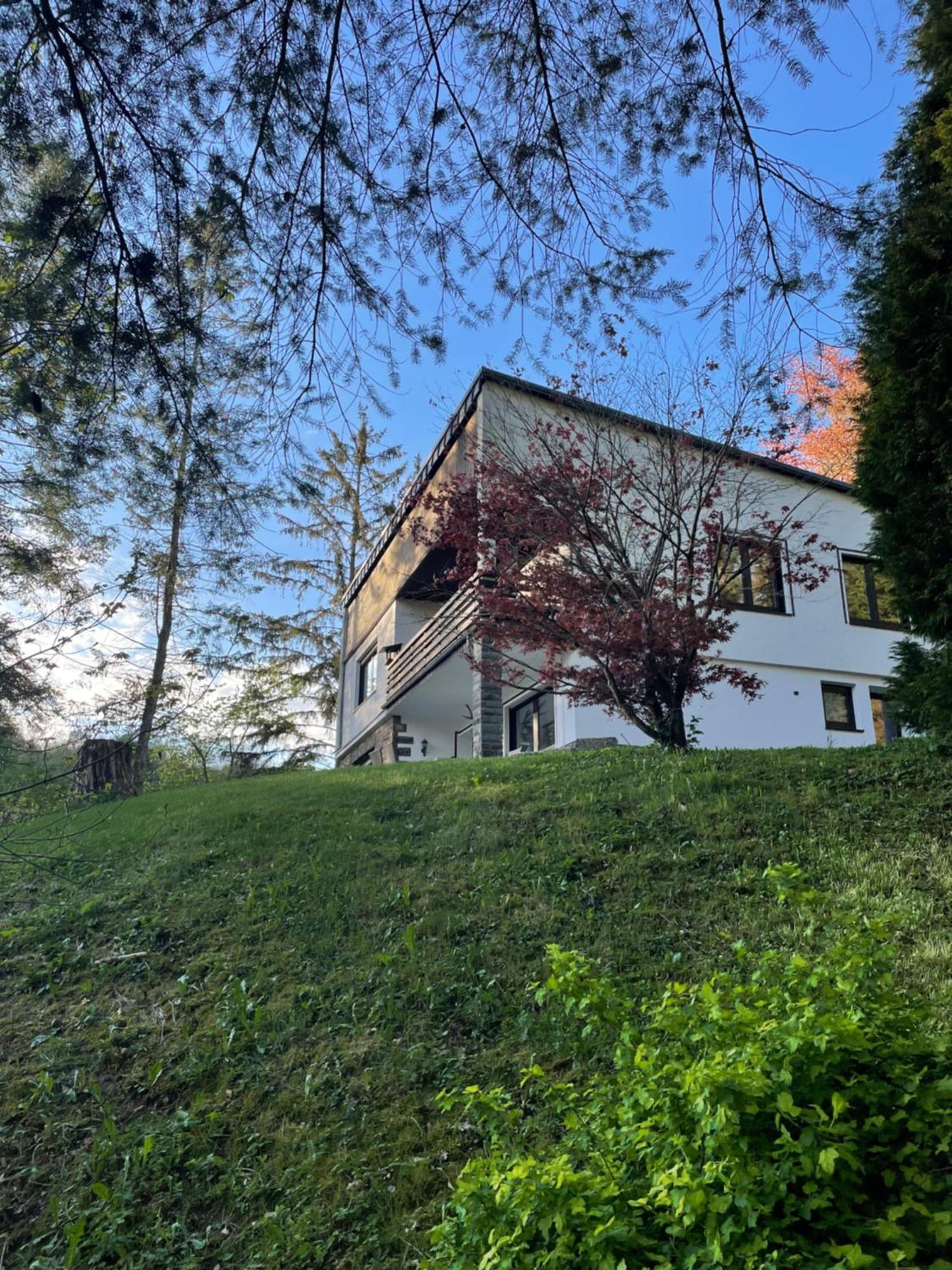 Talblick Chalet Blankenheim บลังเคินไฮม์ ภายนอก รูปภาพ
